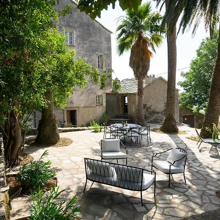Dans Le Cap Corse - 公寓 *