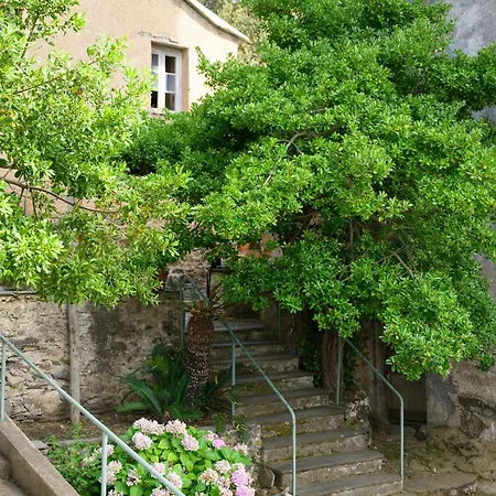 公寓 Dans Le Cap Corse - Canari