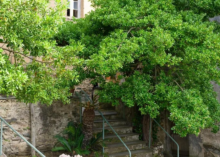 Apartment Dans Le Cap Corse - Canari